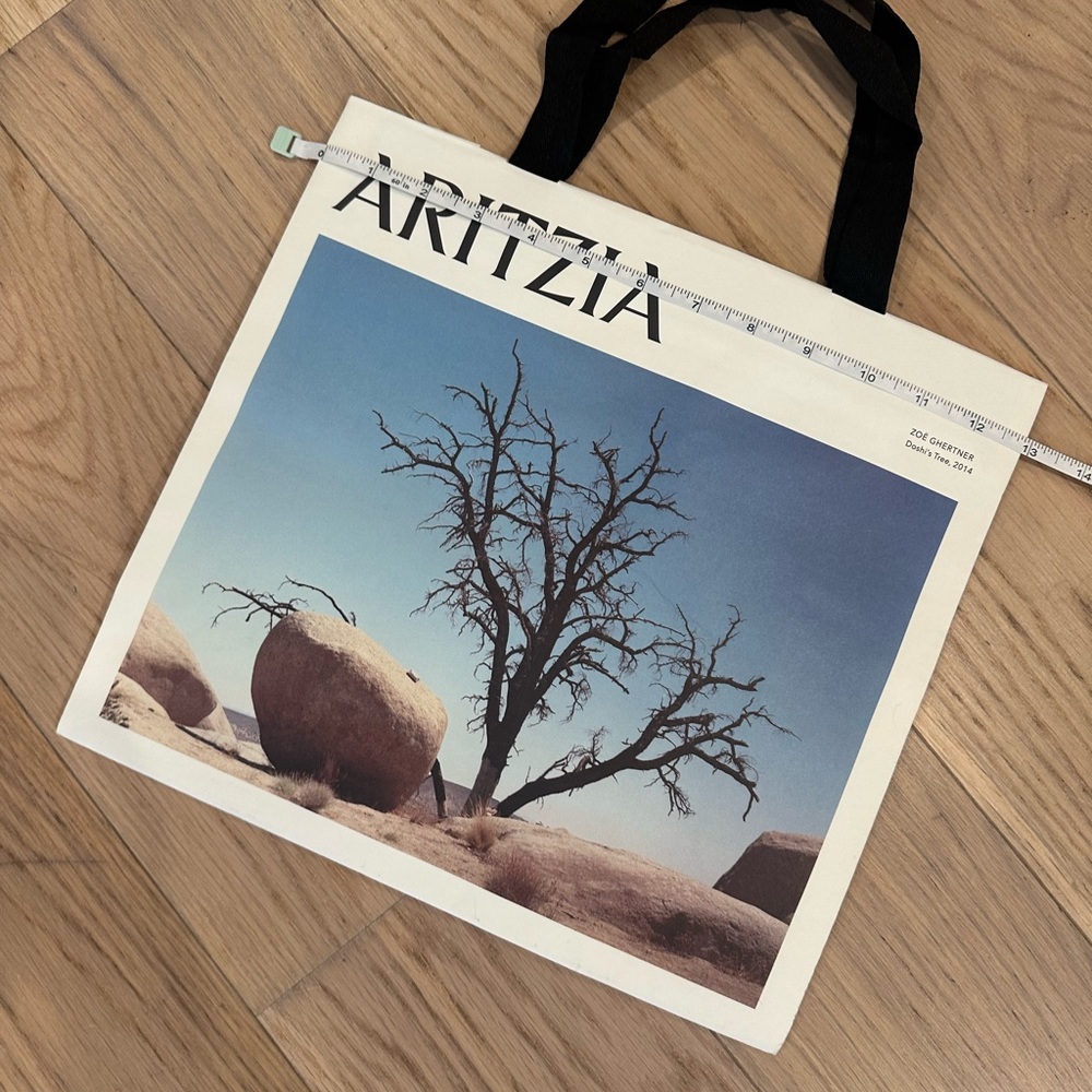 Aritzia paper gift bag with Desert Tree Print
